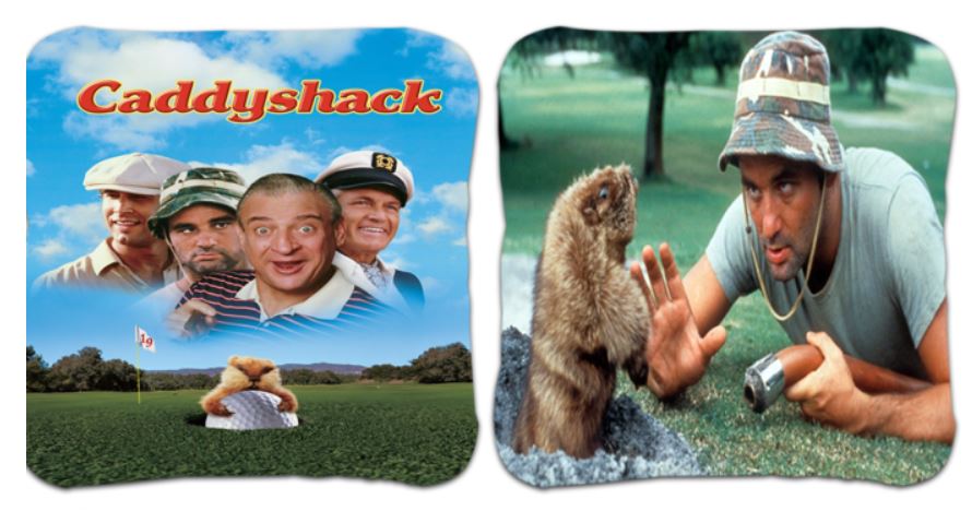 Caddyshack Bag Set of 8